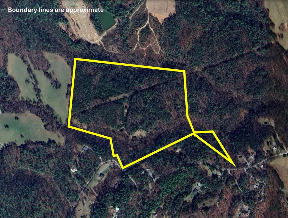 Property in Albemarle